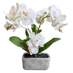 JUST HOME COLLECTION - Planta Artificialificial Orquídea Matera Rectangular 36x38 Cm Blanco Florea