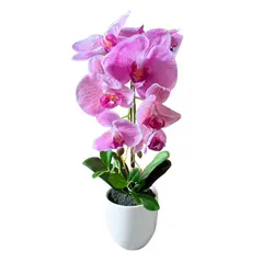 JUST HOME COLLECTION - Planta Artificial Orquídea Matera Lisa 24x52 Cm Fucsia Florea