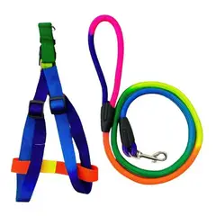 INTERPET - Arnés Pectoral Con Trailla 120 cm - Arcoiris