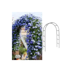 GENERICO - Arco Metálico Para Jardín Ajustable Para Plantas Trepadoras Color Negro