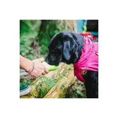 GENERICO - Chaleco Impermeable para Perros Pequeños con Ajuste Flexible y Abrigo
