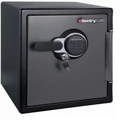 SENTRYSAFE - Caja Fuerte Contra Fuego Y Agua 34.8 Litros