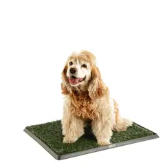 undefined - Grama Para Perro De Entrenamiento 51 x 64 cm Petizoos