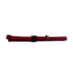 PETIZOOS - Collar Para Perro Pequeño Económico