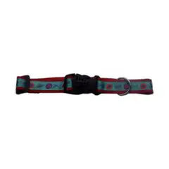 PETIZOOS - Collar Para Perro Grande Económico