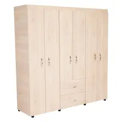RTA DESIGN - Closet Bariloche 6 Puertas 2 Cajones 180X170.3X50.3Cm Wengue