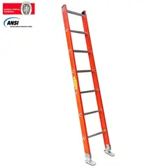 FANES - Escalera Certificada 2.50 m 7 P Pared Dieléctrica 136 kg
