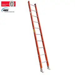 FANES - Escalera Certificada 3 m 10 P Pared Dieléctrica 136 kg