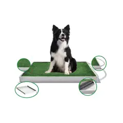 AM MASCOTAS - Potty Pet Grande