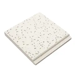 GENERICO - Cielo Raso Fibra Mineral 0.60m x 0.60m x 14mm Caja x 10 Unidades