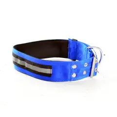 INTERPET - Collar Para Perro Razas Grandes Extra Fuerte Reflectivo Azul
