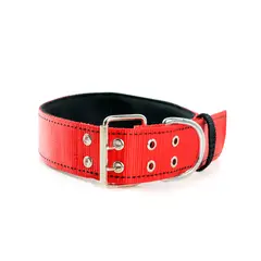 INTERPET - Collar Para Perro Razas Grandes Extra Fuerte En Nylon Rojo