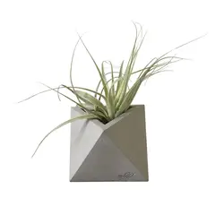 VIVO BOREAL - Matera de Concreto Octaedro 10x9x7cm Gris