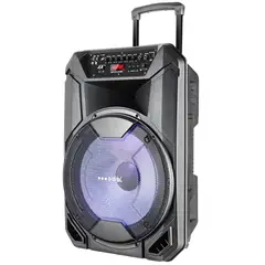 DAIRU - Amplificador Recargable 80W Bluetooth
