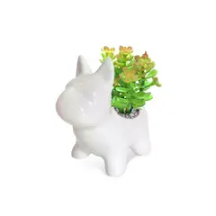 RENOVEMOS - Suculenta Dog Artificial De 8 Cm