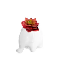 RENOVEMOS - Suculenta Elephant Artificial De 10 Cm