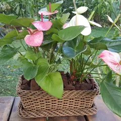 NATIVA - Jardinera Ratán Sintético Tedijo Rectangular Calima 35x25x35cm Terracota