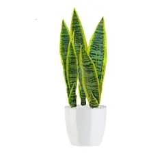 RENOVEMOS - Lengua De Suegra Sansiviera Artificial De 55 Cm