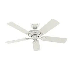 HUNTER FAN - Ventilador De Techo Decorativo Sin Luz 5 Aspas 6169 CFM