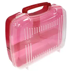 AZOR - Organizador Plástico Wacky Lonch División Rojo