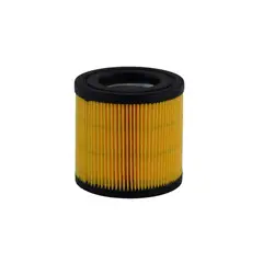 DAPAC - Filtro AspiradoraKarcher Wd3250/WD3/A2204/NT30