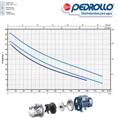 PEDROLLO - Equipo de Presión Future Jet Acero Inoxidable 1.5 Hp 1½ Hp 110/220V + Tanque Hidroneumático Horizontal de 60Lts