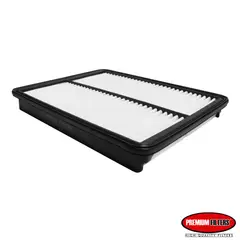 PREMIUM FILTERS - Filtro Aire Hyundai. Kia Aip-900