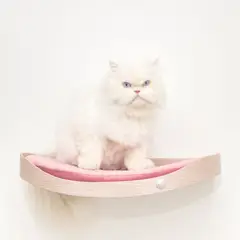 MODO - Repisa Flotante Para Gatos 50X32X13Cm Mediano Flotante