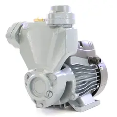 PEARL - Electrobomba Perif Autocebante 1/2hp 110v 1x1pg