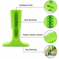 SOLEPET - Juguete Limpiadientes Para Perro Talla M Azul - Verde