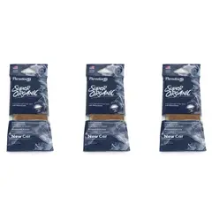 PARADISE - Ambientador Super Organic New Car 46G