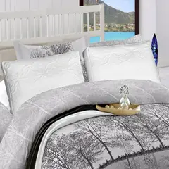 FENISSA - Set De 2 Almohadas Elite