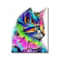PINTALA CUADROS - Kit Pintura: Cuadro para Pintar por Números 40x50cm Gato Colores