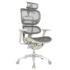 EKONOMODO COLOMBIA - Silla de escritorio Ergonómica Negro Lujo