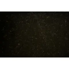 undefined - Mesón Granito Natural Crema Marfil 240 cm X 62 cm