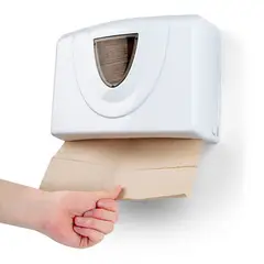 ENERGY PLUS - Dispensador De Toallas De Papel En Z Plástico Blanco De 26x19 Cm