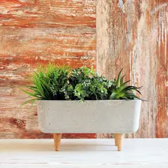 undefined - Matera Terrario Patas Cemento 30X15 Cm