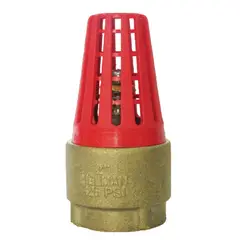 GENERICO - Valvula De Pie Domestica Canast Plastica 1-1/2