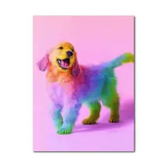 PINTALA CUADROS - Kit de Pintura: Cuadro para Pintar por Números 40x50 Cachorro ArcoIris