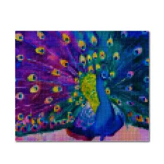 PINTALA CUADROS - Kit de Pintura: Cuadro para Pintar por Números 40x50 Pavo Real