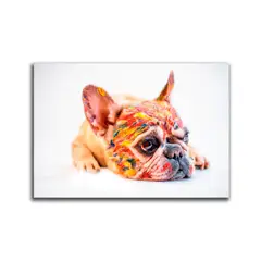 HOGAR VENECIA - Cuadro Perro Color Xl 115X78 Cm
