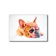 HOGAR VENECIA - Cuadro Perro Color M 45X70 Cm