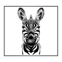 EKONOMODO COLOMBIA - Cuadro Zebra Cara White 120X90