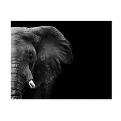 EKONOMODO COLOMBIA - Cuadro Cara De Elefante 180X90