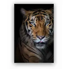 EKONOMODO COLOMBIA - Cuadro Cara Tigre Rafe 120X90