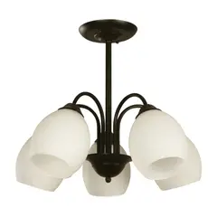 IKELITE DESIGN - Lámpara De Techo Negra 5 Luces E27 Estilo Elegante Ikelite