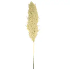 ABC - Penachos de Pampa 140 cm Beige