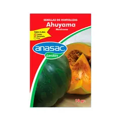 ANASAC - Semillas Ahuyama Mexicana 10 Gramos