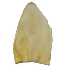 PETIZOOS - Oreja Individual Surtida
