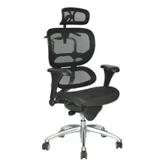 ERGONOMUS - Silla Presidente Ergohuman Eco Almohada Negro
